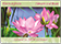 Fleurs et fruits 